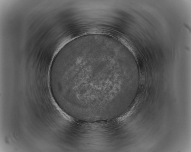 X0000097850803200804041505