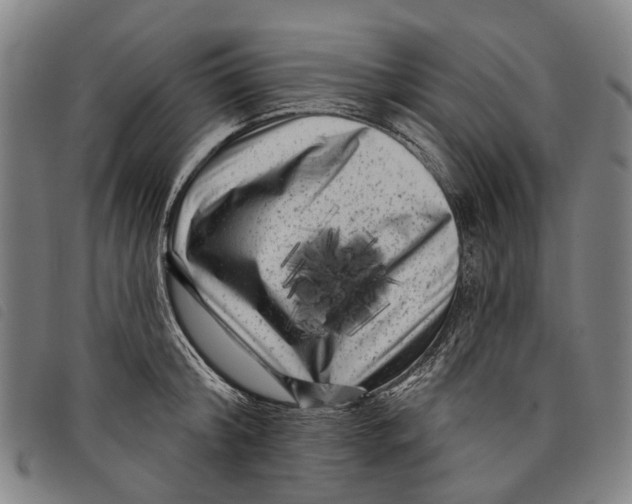 X0000097850804200804041505