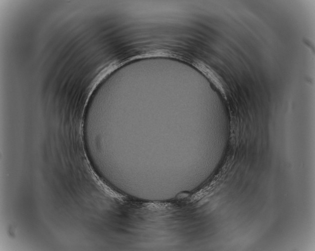 X0000097850805200804041505