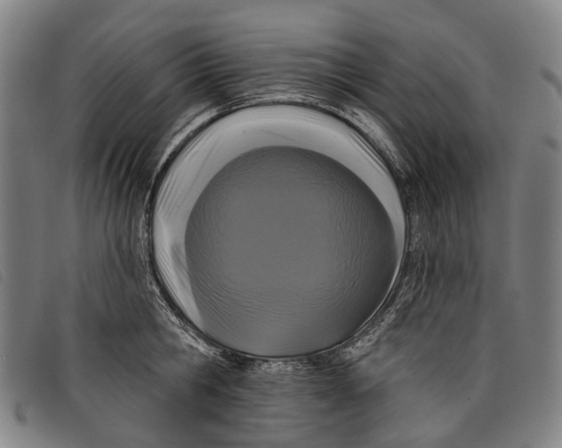 X0000097850806200804041505