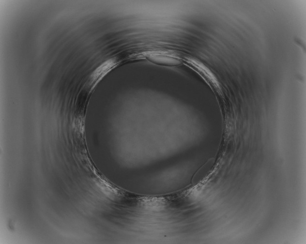 X0000097850809200804041505