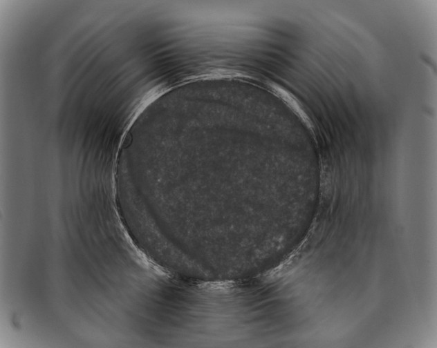 X0000097850810200804041505