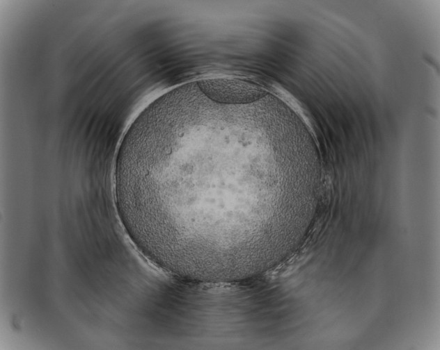 X0000097850811200804041504