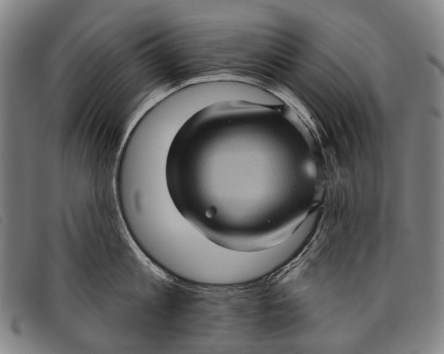 X0000097850813200804041504