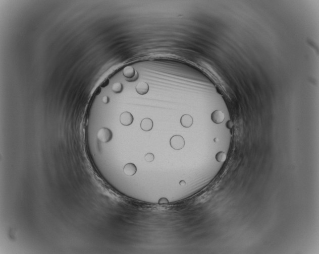 X0000097850814200804041504