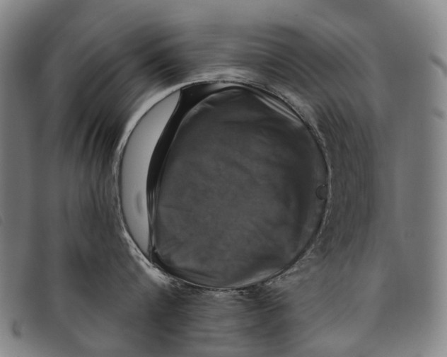 X0000097850816200804041504