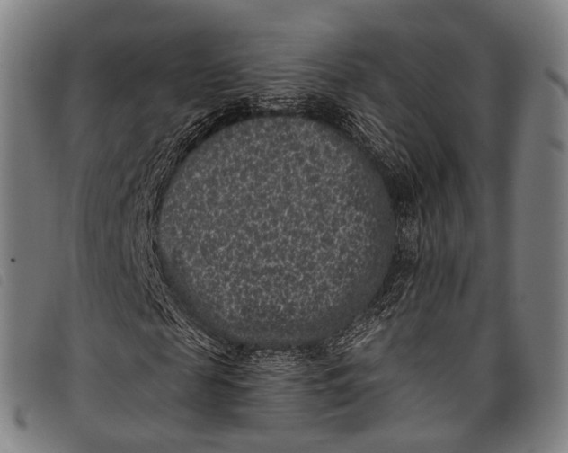 X0000097850817200804041504