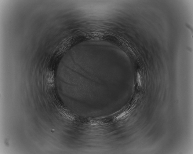 X0000097850818200804041504