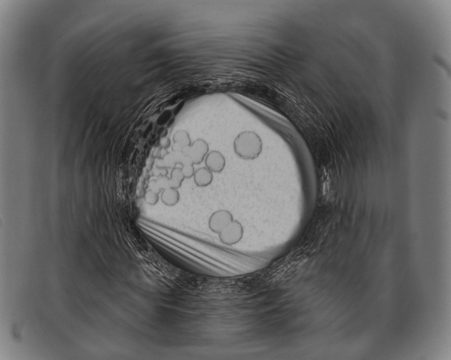 X0000097850819200804041504