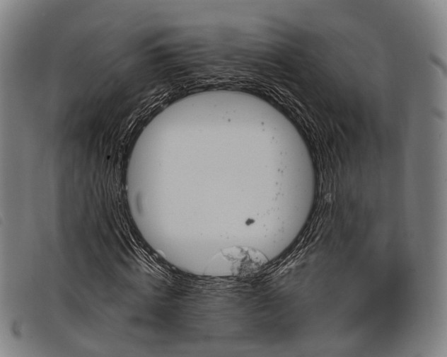 X0000097850820200804041504