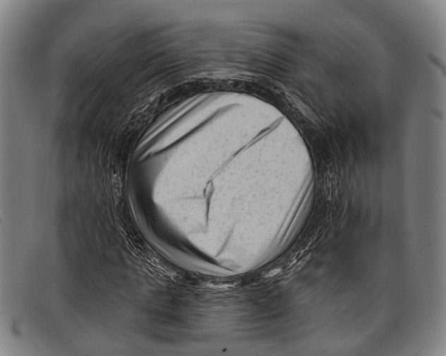 X0000097850821200804041504