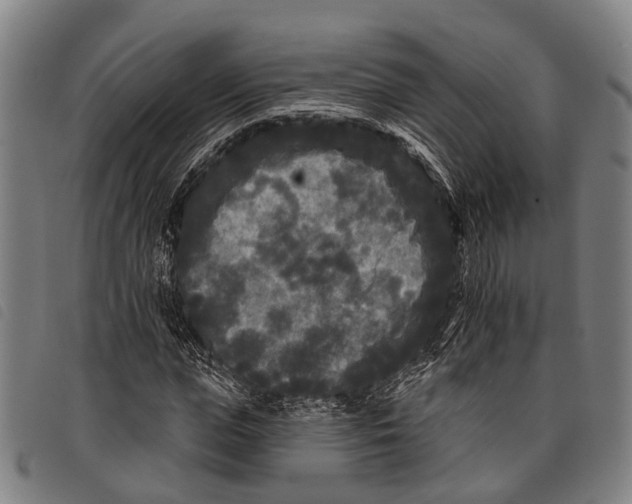 X0000097850823200804041504