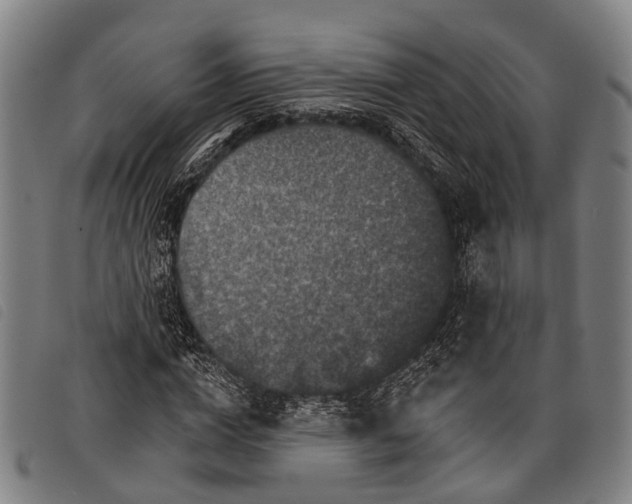 X0000097850824200804041504