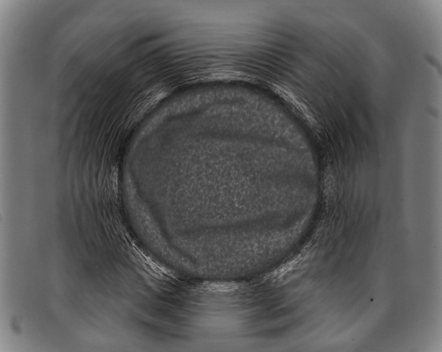 X0000097850825200804041504