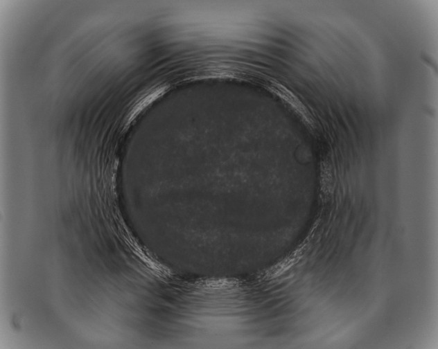 X0000097850826200804041504