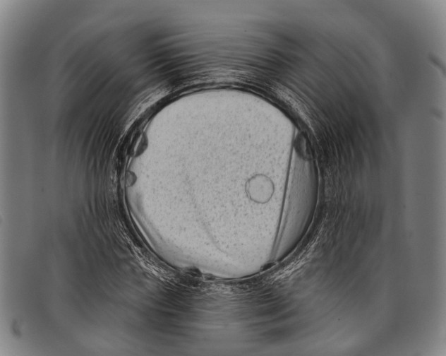 X0000097850827200804041504