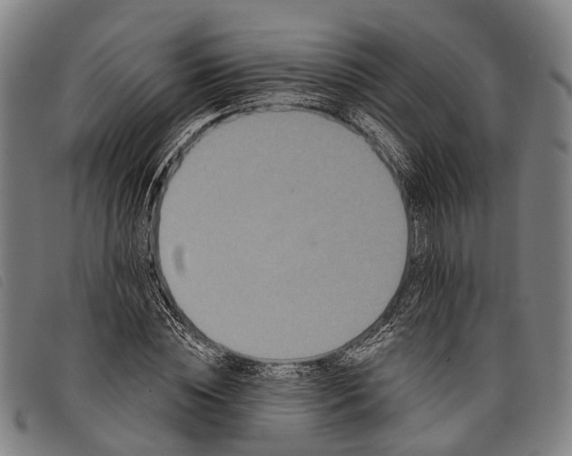 X0000097850828200804041504