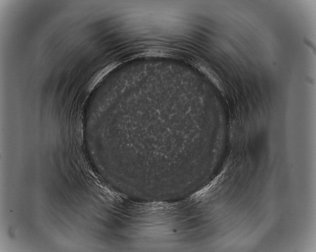 X0000097850829200804041504