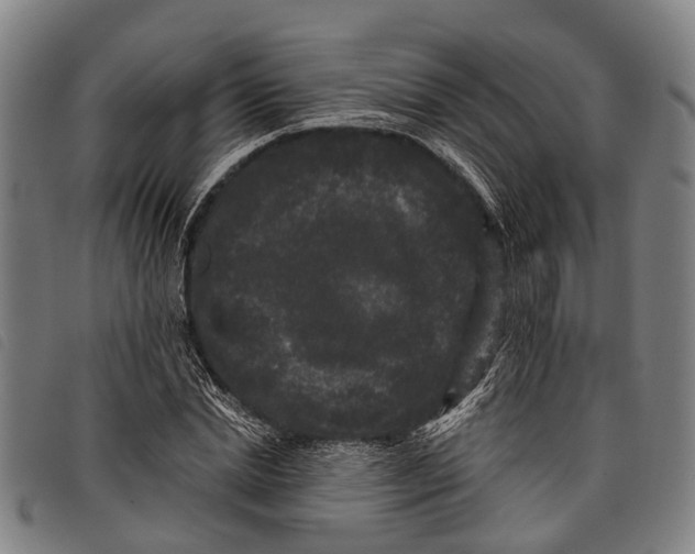 X0000097850830200804041504