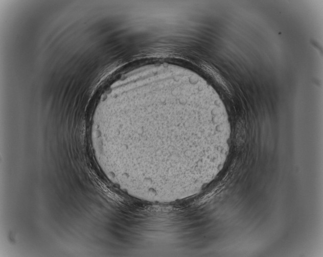 X0000097850831200804041504