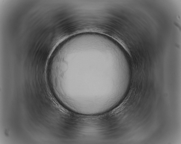 X0000097850832200804041504