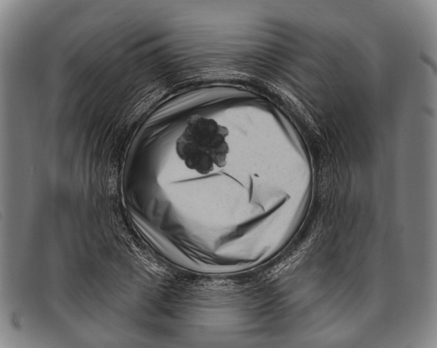 X0000097850833200804041504