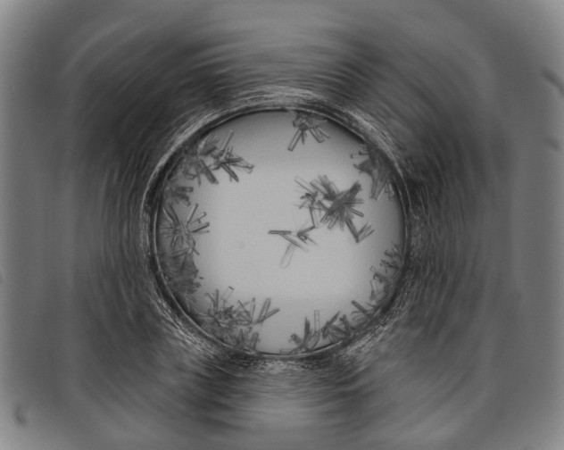 X0000097850835200804041504