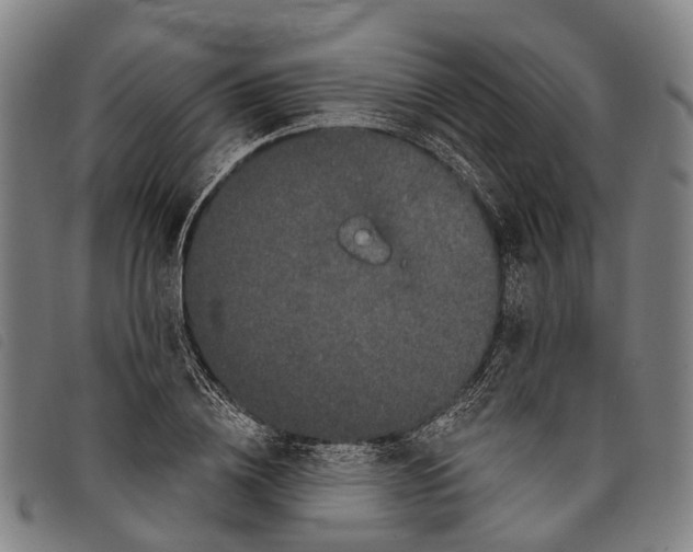 X0000097850836200804041504