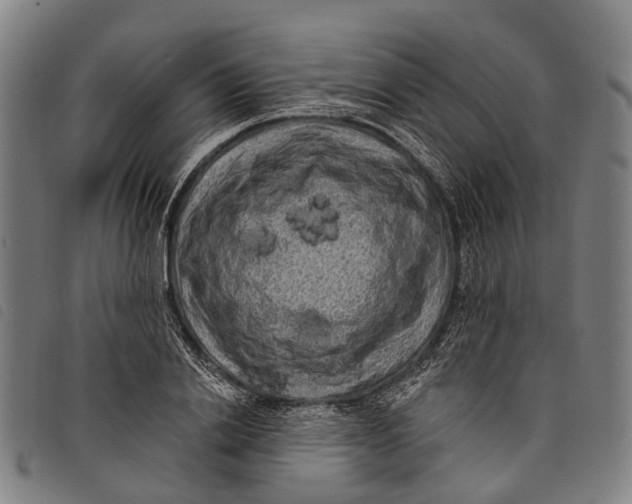 X0000097850838200804041504