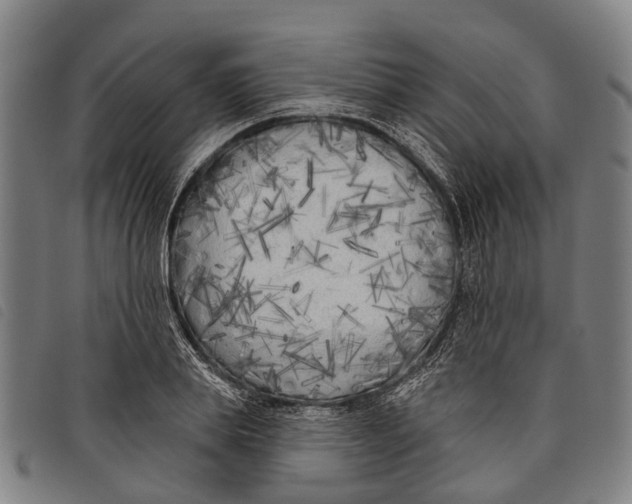 X0000097850839200804041504