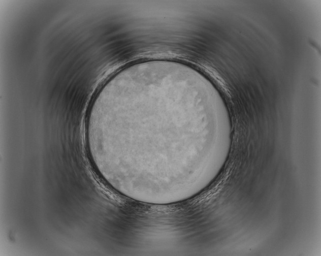 X0000097850840200804041504