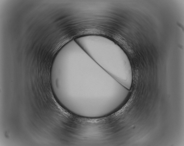 X0000097850841200804041504