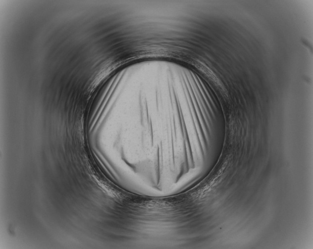 X0000097850842200804041504