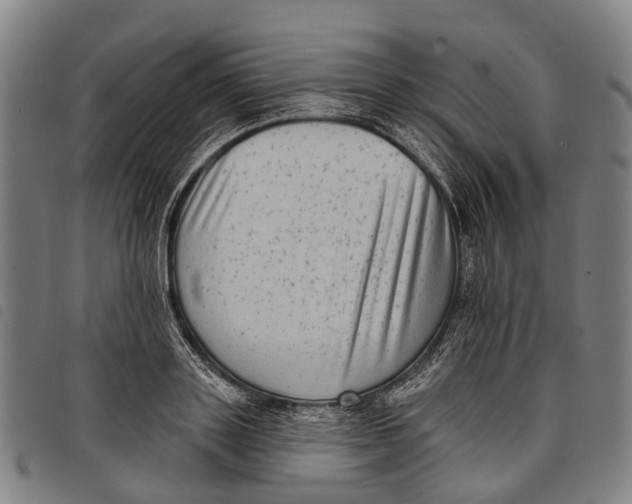 X0000097850843200804041504