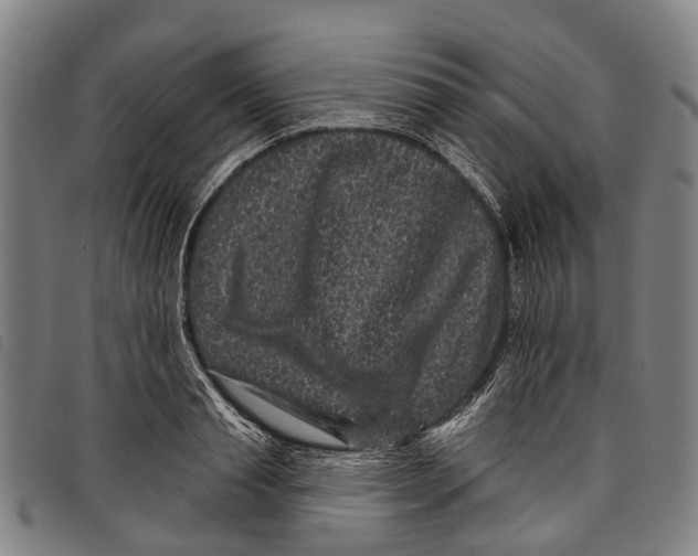 X0000097850845200804041504