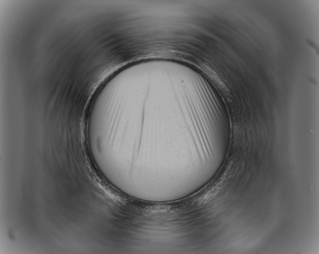 X0000097850846200804041504