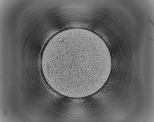 X0000097850848200804041504