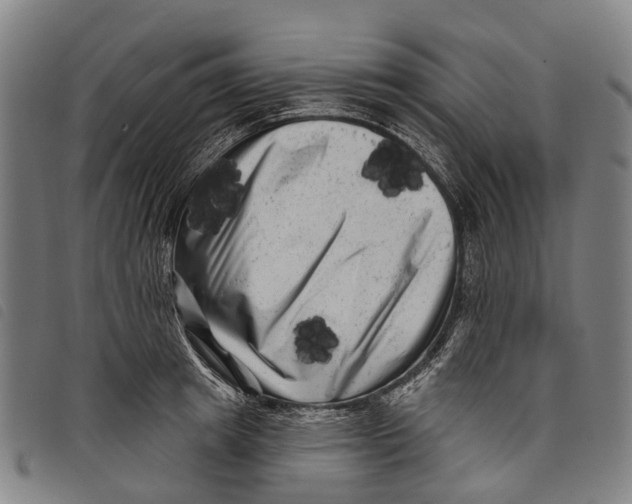 X0000097850849200804041504