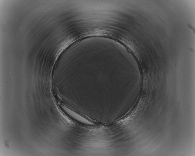 X0000097850850200804041504