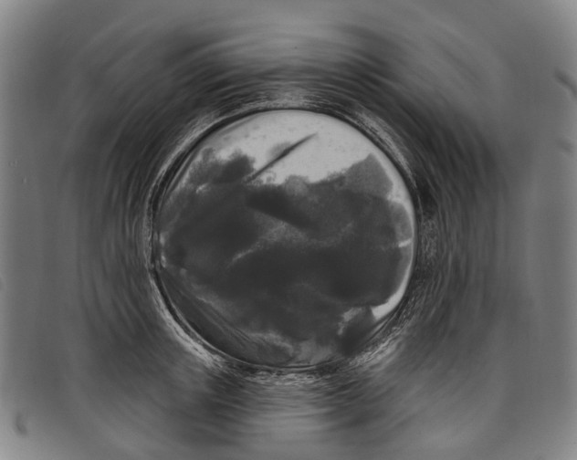 X0000097850851200804041504