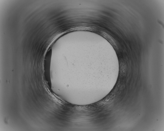 X0000097850852200804041504