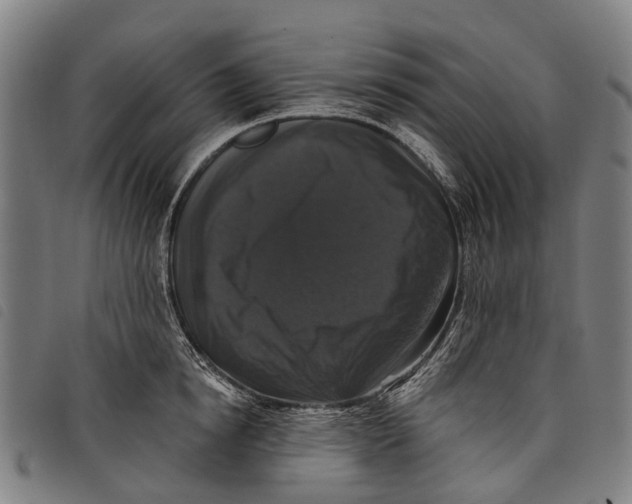 X0000097850854200804041504