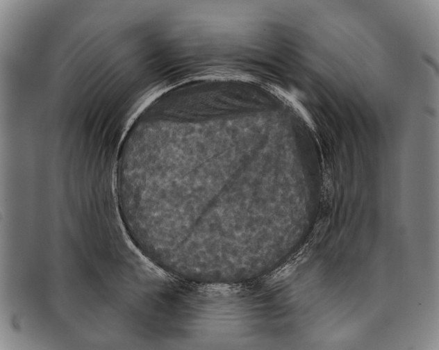 X0000097850855200804041504