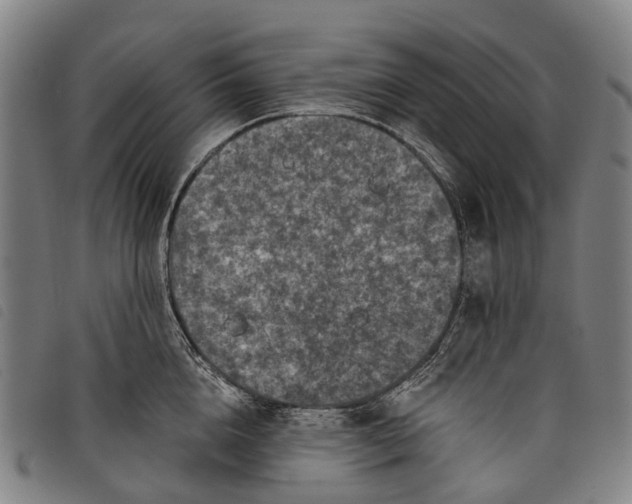 X0000097850856200804041504