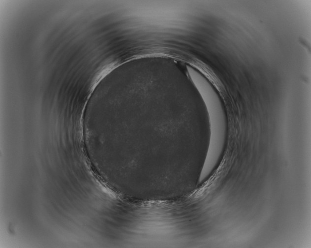 X0000097850858200804041504