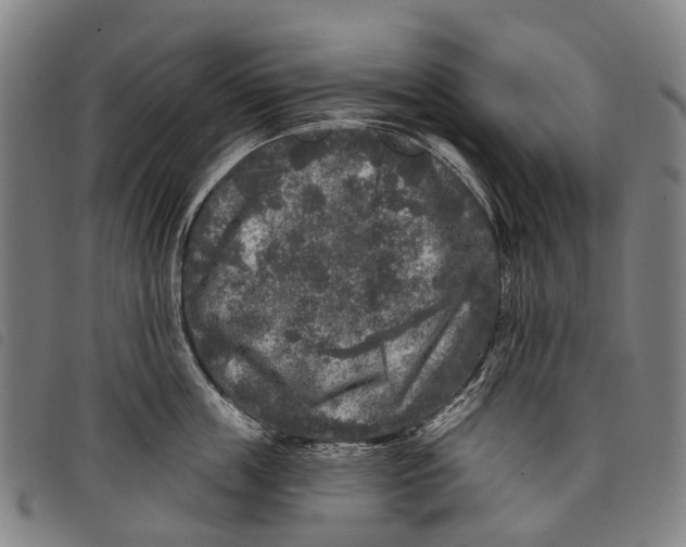 X0000097850859200804041504