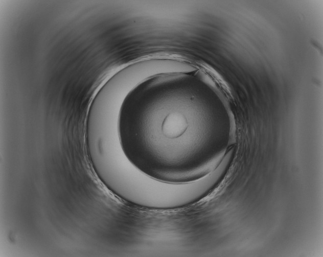 X0000097850860200804041504