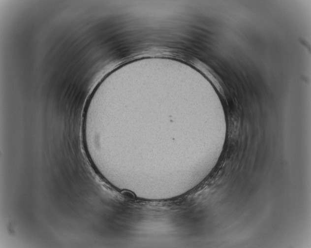 X0000097850861200804041504