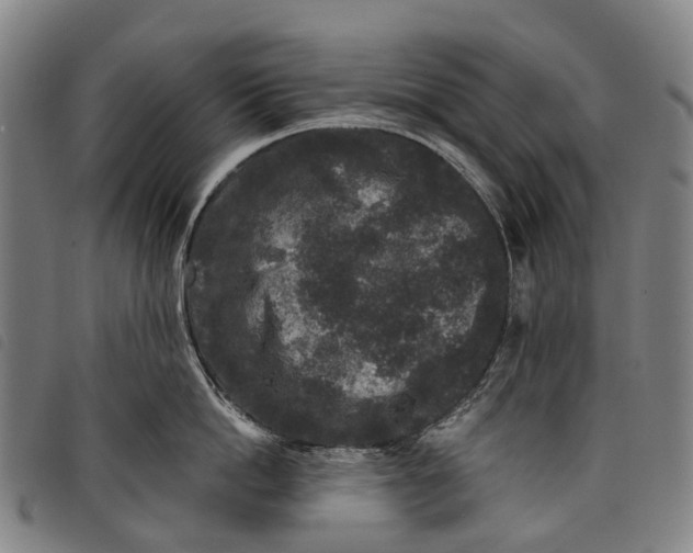 X0000097850862200804041504