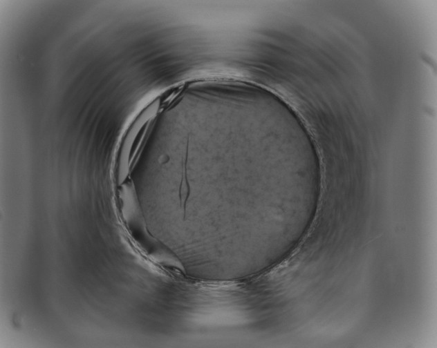 X0000097850864200804041504